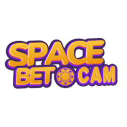 largest sudoku puzzle
